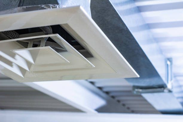 Best HVAC Maintenance and Cleaning  in Laupahoehoe, HI