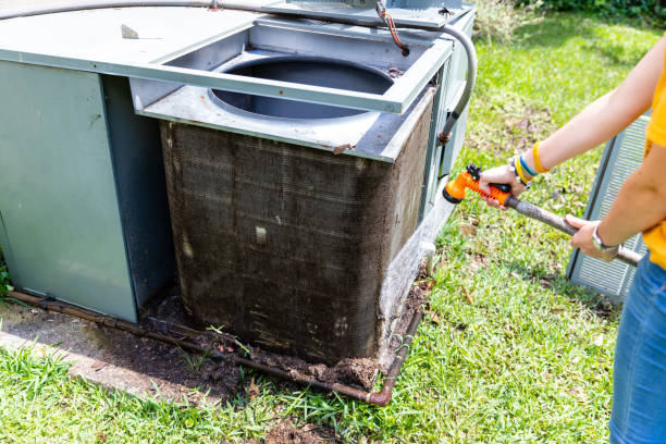 Best Ductwork Cleaning Services  in Laupahoehoe, HI