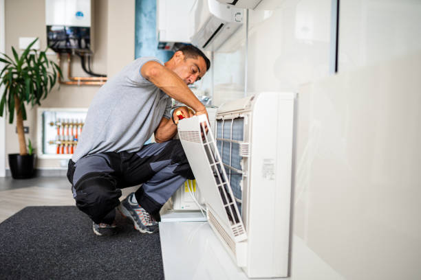 Best Local Air Duct Cleaning Services  in Laupahoehoe, HI