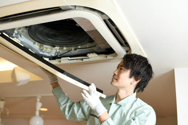 Best Commercial Air Duct Cleaning  in Laupahoehoe, HI