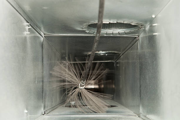 Best Local Air Duct Cleaning Services  in Laupahoehoe, HI