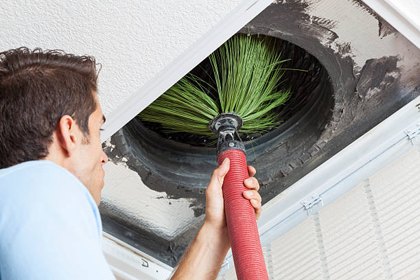 Best Affordable Air Duct Cleaning  in Laupahoehoe, HI
