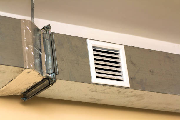 Best Emergency Air Duct Cleaning  in Laupahoehoe, HI